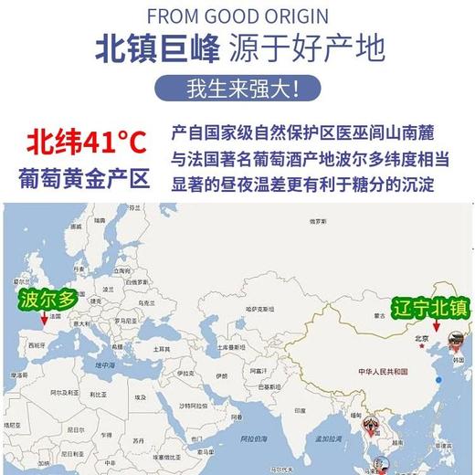 巨峰葡萄 1筐/约2000g 商品图5