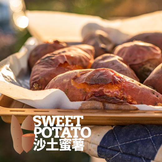 沙土蜜薯已糖化好（烟薯25/白哈密）  申通快递 商品图1