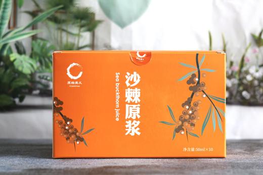 【内蒙原始主义有机沙棘原浆】每日一支 补充一天所需维生素C 沙漠之花出品【AA】 商品图7