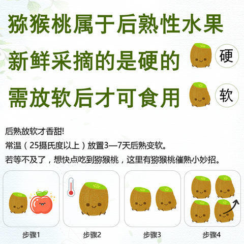 陕西 徐香 猕猴桃 1盒/6个 约550g 商品图4