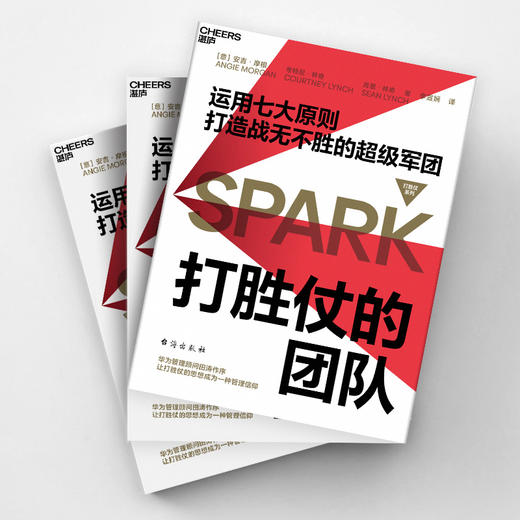 打胜仗的团队 商品图4