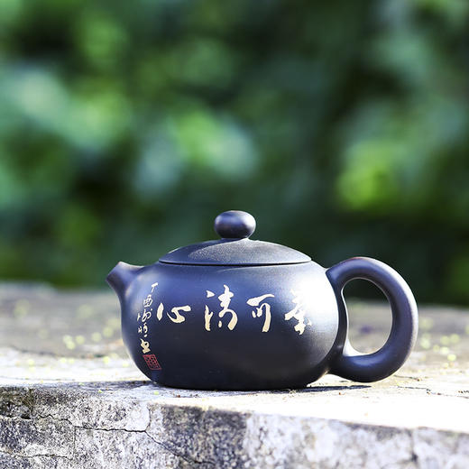 谢恒  壶 商品图1