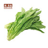 油麦菜500g/份【GYZH】 商品缩略图0