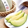 进口网纹瓜 1个/约1200g 商品缩略图9