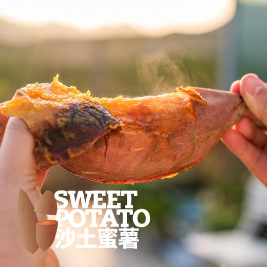 沙土蜜薯已糖化好（烟薯25/白哈密）  申通快递 商品图5