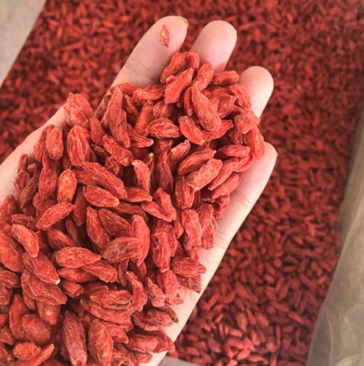宁夏中宁枸杞、新货头茬、颗粒饱满、个大肉厚、清香味浓 商品图0