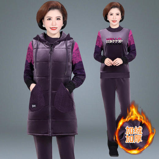 SP-HD229761休闲时尚洋气显瘦金丝绒套装 商品图2