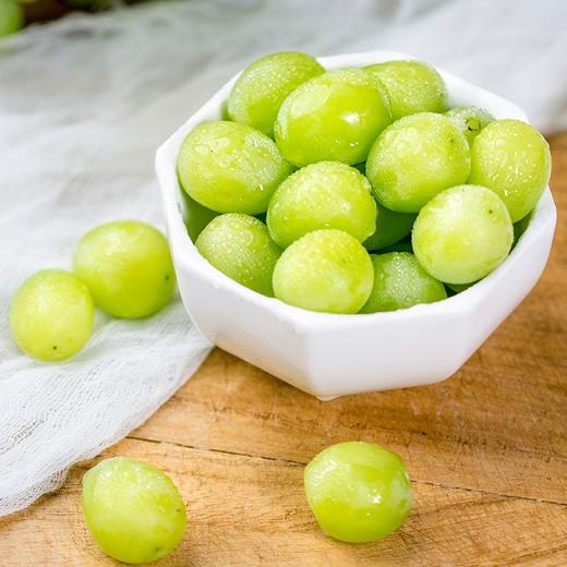 玫瑰飘香白玫瑰葡萄