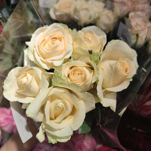 蜜桃雪山 香槟玫 花时花季旗舰店