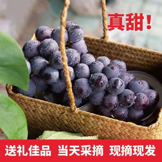 巨峰葡萄 1筐/约2000g 商品图1