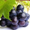 巨峰葡萄 1筐/约2000g 商品缩略图0