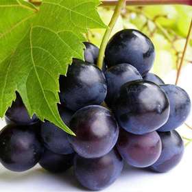 巨峰葡萄 1筐/约2000g