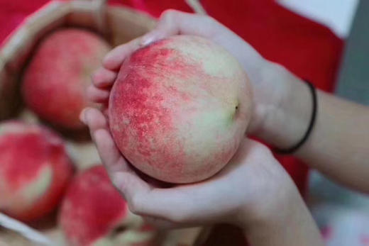 桐鲜生第五季 -寒露脆蜜，甜过初恋的冬桃，冬桃届的天花板 商品图3