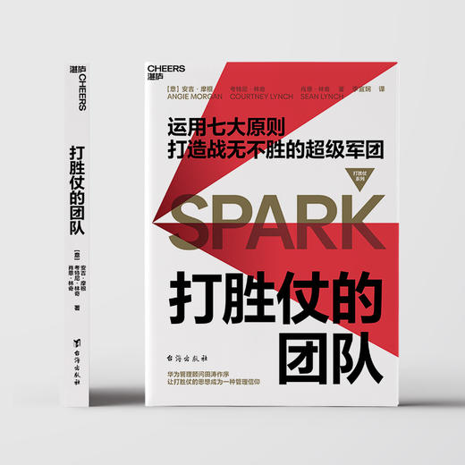 打胜仗的团队 商品图2