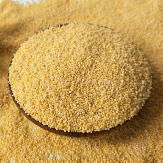 农家黄小米、今年新米，煮粥出油 商品图5