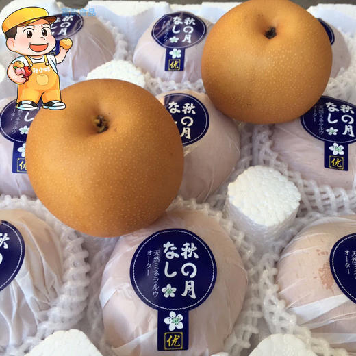 秋月梨 1个/约300g 商品图8
