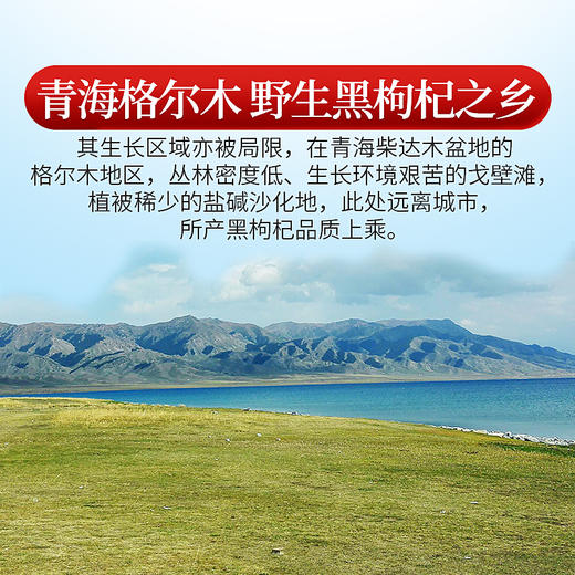 庄民青海柴达木野生黑枸杞礼盒格尔木大果 独立小包装 2g*60包（12罐大礼盒装）年货好礼必备 商品图3