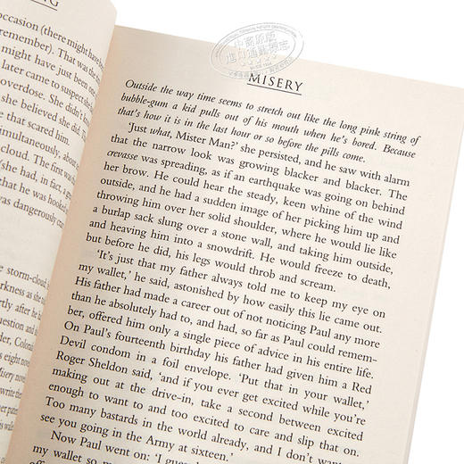【中商原版】头号书迷（又译 危情十日）（英版） 英文原版 Misery Stephen King Hodder Paperbacks 惊悚小说 商品图3