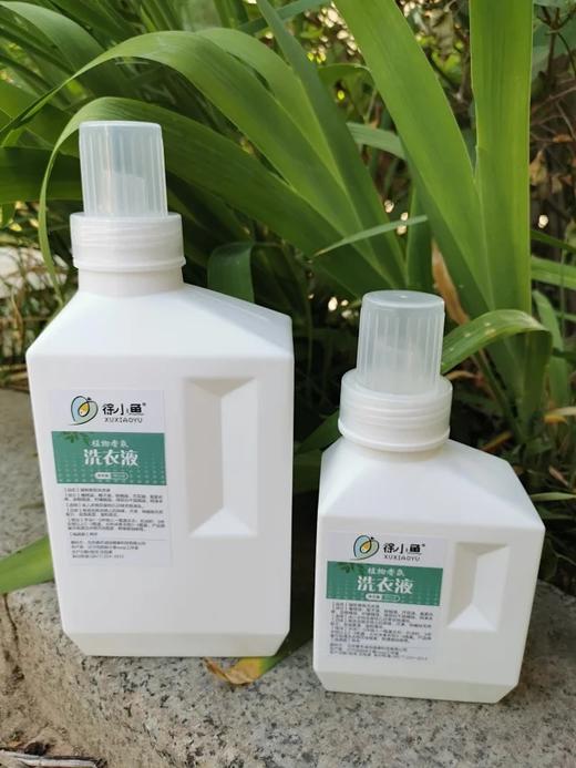 丨生态丨香氛洗衣液 徐小鱼 商品图3