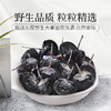 庄民青海柴达木野生黑枸杞礼盒格尔木大果 独立小包装 2g*60包（12罐大礼盒装）年货好礼必备 商品缩略图8