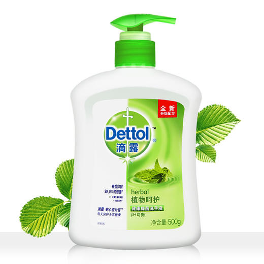 滴露 Dettol 健康洗手液 植物呵护 商品图0