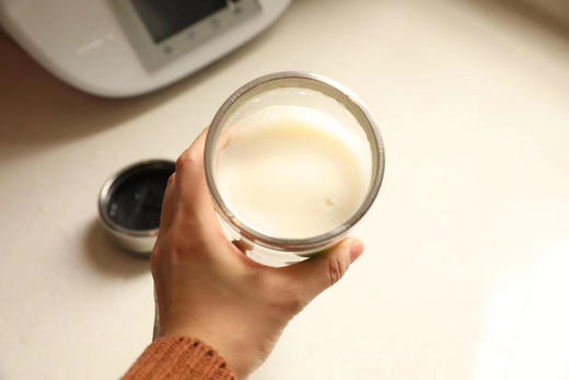 无糖原味豆浆粉，10秒冲泡即喝，发普通快递 商品图0