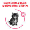 皇家幼猫K36  幼猫怀孕哺乳期猫粮 10kg 商品缩略图2
