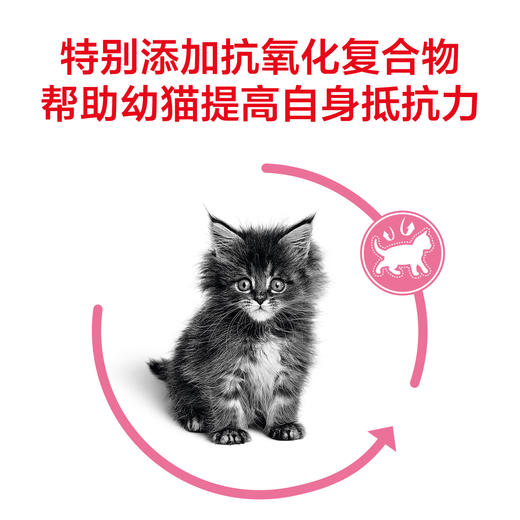 皇家幼猫K36  幼猫怀孕哺乳期猫粮 10kg 商品图2
