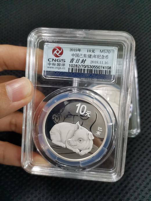 【福利秒】2019年猪年生肖圆形本色30克银币封装版（无证书） 商品图0