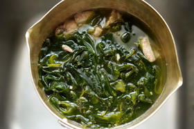 霞浦海带嫩苗，滑嫩好吃，适合凉拌、汤火锅、炖汤等，发普通快递