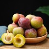 青红脆李/当季 1盒/1000g 商品缩略图9