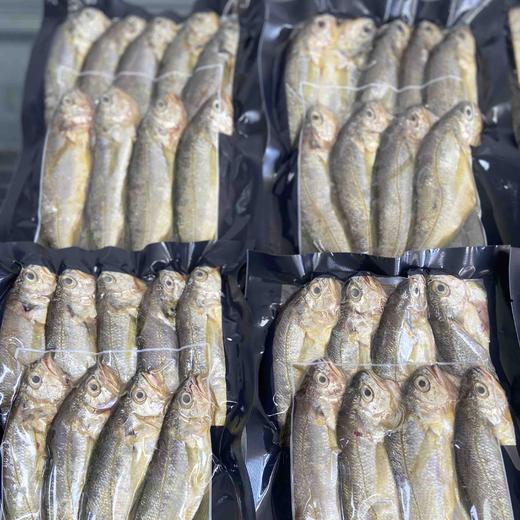 舟山冰鲜小黄鱼3斤装顺丰快递运费包邮 商品图7