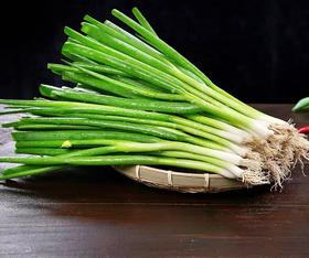 水洗葱 100g /份（蔬菜调味）