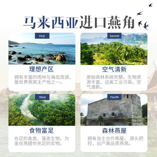 庄民 燕窝 干大燕盏燕窝角 正规马来西亚进口原料溯源 正品女人孕妇滋补品20g 顺丰包邮 商品图6