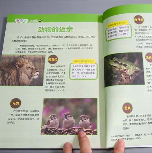 每天3分钟学会数理化（全4册）4大主题366个故事培养孩子的理科思维少儿科普 商品图7