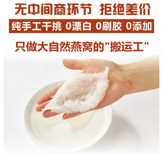 正品燕窝雨季燕窝盏条印尼干挑高净度盏条燕盏燕窝无需挑毛100g 商品图3