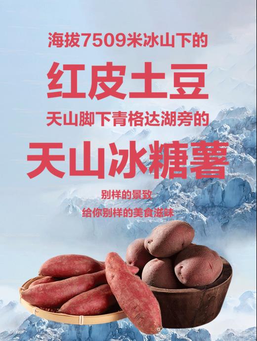 冰川黑土豆+红土豆+红薯 商品图5