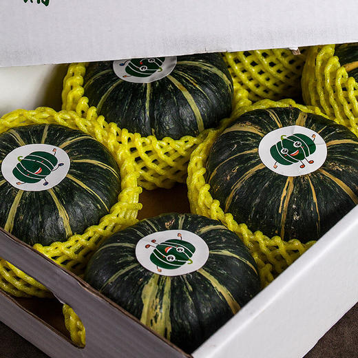 臻品贝贝瓜 1箱/约3000g 商品图10