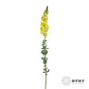 配花 | 金鱼草黄色 商品缩略图1