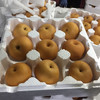 秋月梨 1个/约300g 商品缩略图9