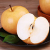 秋月梨 1个/约300g 商品缩略图7