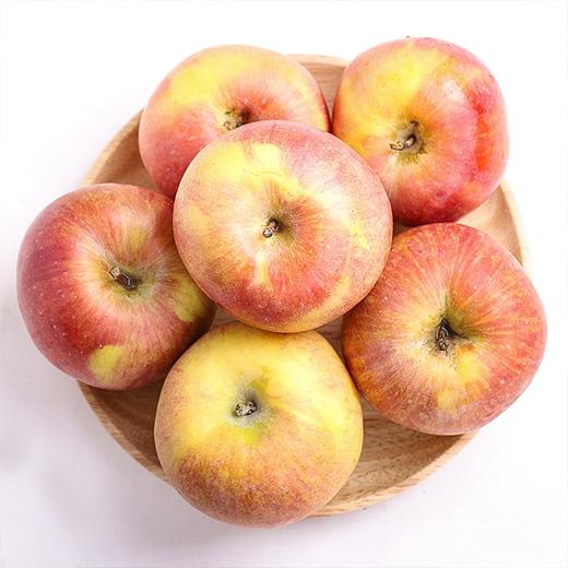 【新疆阿克苏苹果】4斤/8斤原箱，精品果，来自最优核心产区新疆红旗坡 商品图1