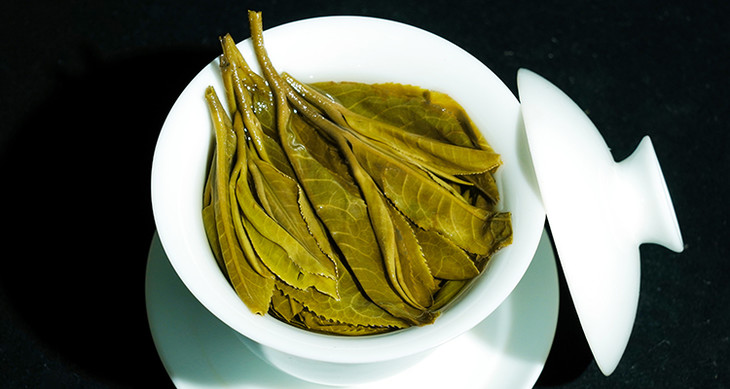 原生古树茶园生态系统