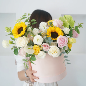 《暖风过境》-向日葵抱抱桶