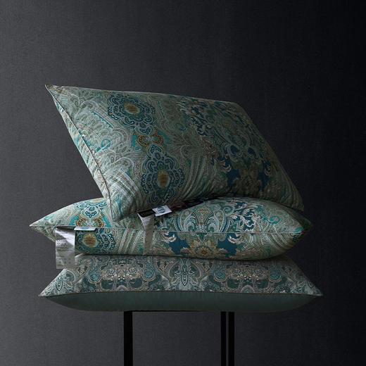 菲尔德可水洗鹅绒枕 商品图0