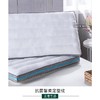 远梦抗菌芯柔定型枕 商品缩略图1