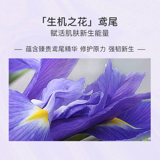 【购物即送精华资格】阿芙鸢尾紧致精油水乳套装提拉紧致补水保湿JPY带授权招加盟代理 商品图3