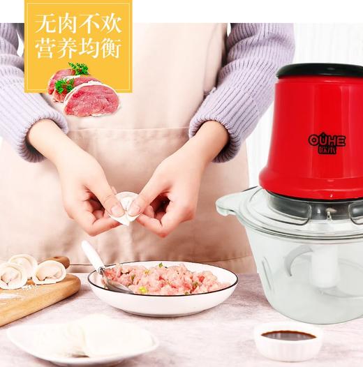 第三代欧禾多功能料理机多功能搅肉机