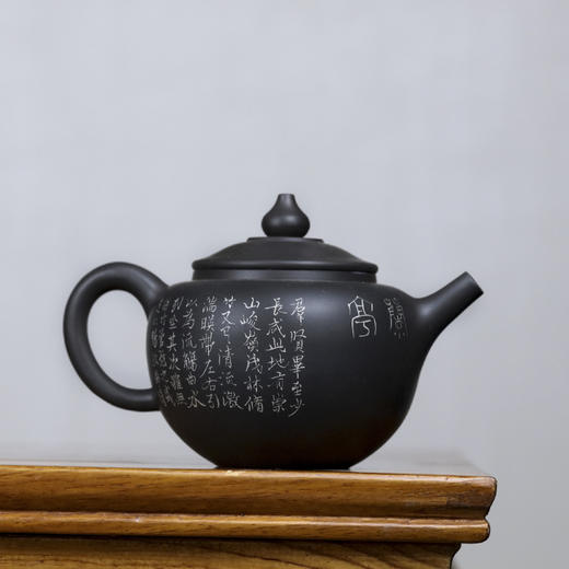 熊廷献壶 商品图0