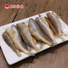 去头黄花鱼1300±10g 商品缩略图5